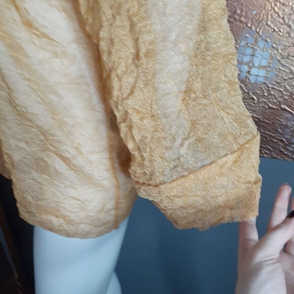 NWT Zara Elegant Gold Sheer Women's Top - Picture 12 of 16